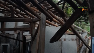 Pohon Tumbang Ciamis