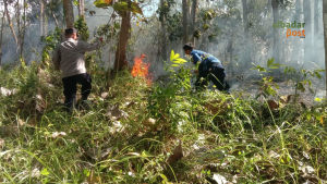 Kebakaran Lahan Ciamis