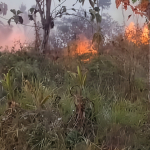 Kebakaran Lahan Garut