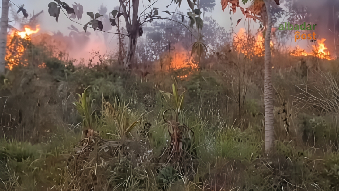 Kebakaran Lahan Garut
