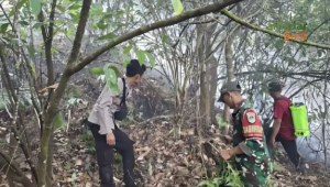kebakaran lahan Pangandaran