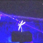 laser pembasmi nyamuk
