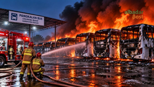 50 Bus Sinar Jaya