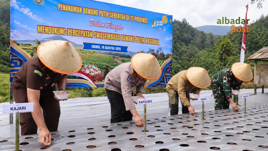 swasembada bawang putih