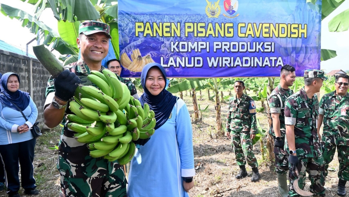 Pisang Cavendish Tasikmalaya