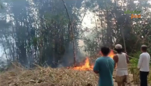 Kebakaran Mangunreja