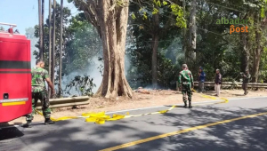 kebakaran hutan Pangandaran