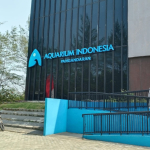 Aquarium Indonesia Pangandaran