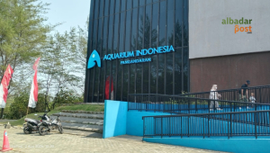 Aquarium Indonesia Pangandaran
