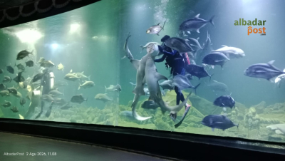 Aquarium Indonesia Pangandaran