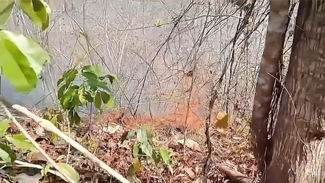 kebakaran lahan Pangandaran