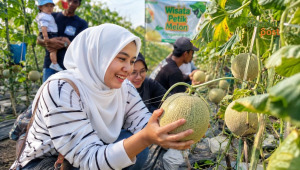 Wisata Melon Pangandaran