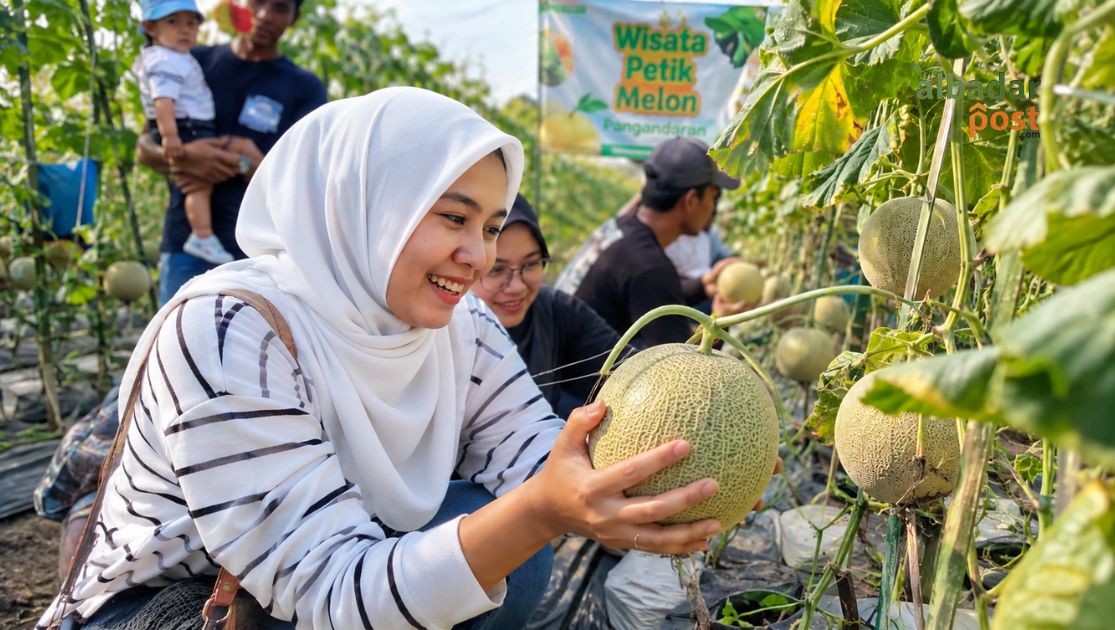 Wisata Melon Pangandaran