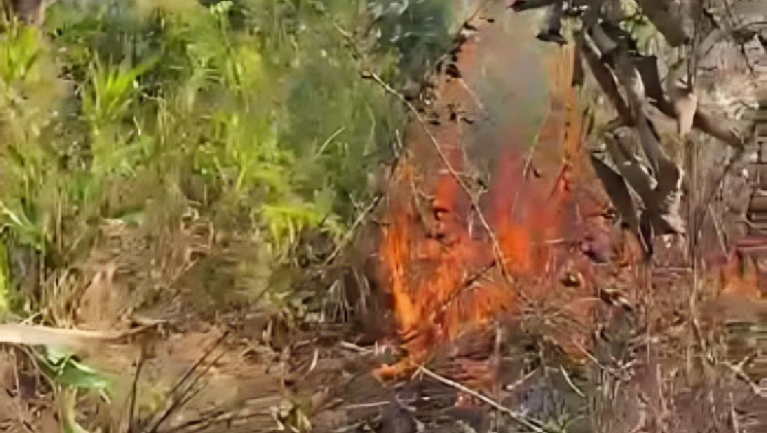 Kebakaran Pangandaran