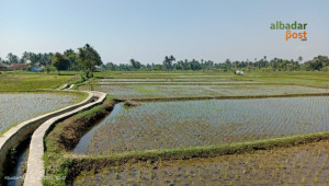 pertanian Pangandaran