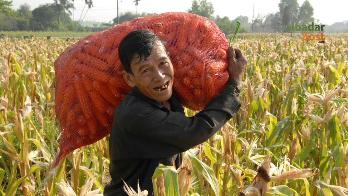 akses lahan petani Garut