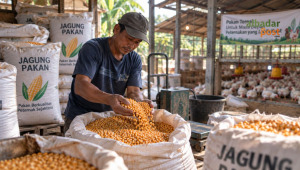 SPHP Jagung Garut