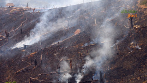 Kebakaran Lahan Kota Banjar